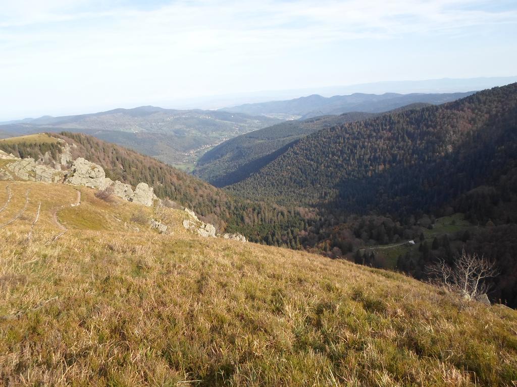 Camping Les Pinasses La Chapelle  Exterior foto